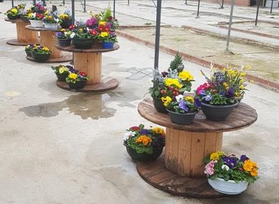 Vente de composition floral près de Bergues