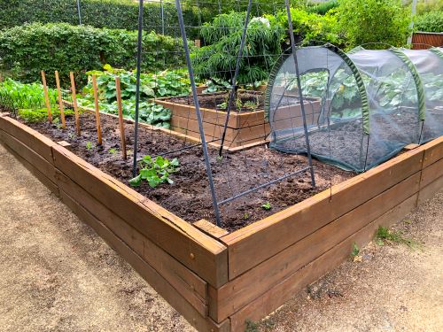 Potager près de Bergues