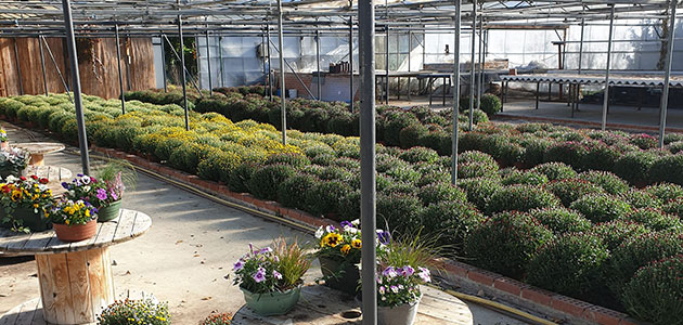 Horticulteur près de Bergues